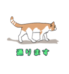 ご近所のノラ猫さん。日常編（個別スタンプ：35）