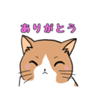 ご近所のノラ猫さん。日常編（個別スタンプ：40）