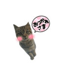 びちさん（個別スタンプ：3）