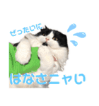 ピゲ様 2（個別スタンプ：8）