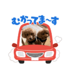 おーはーーー編（個別スタンプ：6）