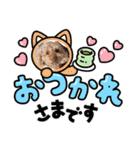 おーはーーー編（個別スタンプ：8）