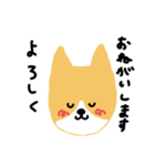 コーギーぺっぷ（個別スタンプ：2）