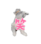 あおちゃんのゴルフ（個別スタンプ：6）