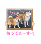 いわき犬猫の保護犬ちゃん達（個別スタンプ：23）