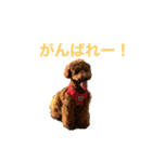 おときな②（個別スタンプ：1）