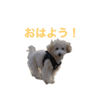 おときな②（個別スタンプ：2）