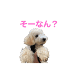 おときな②（個別スタンプ：12）