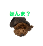 おときな②（個別スタンプ：13）