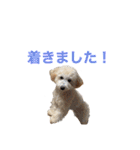 おときな②（個別スタンプ：17）