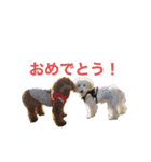 おときな②（個別スタンプ：21）
