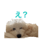 おときな②（個別スタンプ：26）