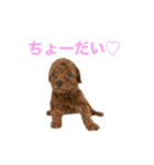 おときな②（個別スタンプ：27）