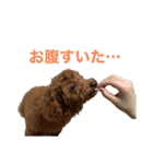 おときな②（個別スタンプ：31）