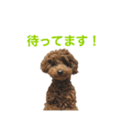 おときな②（個別スタンプ：33）