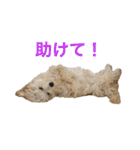 おときな②（個別スタンプ：34）