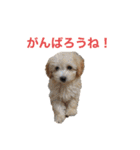 おときな②（個別スタンプ：38）