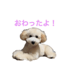おときな②（個別スタンプ：39）