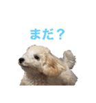 おときな②（個別スタンプ：40）