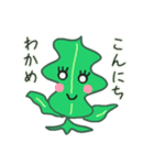 わかめ！wakame！（個別スタンプ：3）