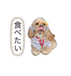 るるandりり（個別スタンプ：5）