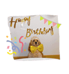るるandりり（個別スタンプ：10）