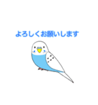 青いセキセイインコスタンプ（個別スタンプ：1）