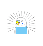青いセキセイインコスタンプ（個別スタンプ：8）