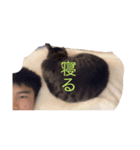 ミツモトの使いやすいスタンプです（個別スタンプ：8）