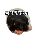 慶應の某ビリー（個別スタンプ：18）