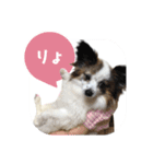 キャンディの使いやすいスタンプ（個別スタンプ：2）