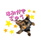 viviとLilly（個別スタンプ：5）
