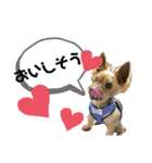 viviとLilly（個別スタンプ：9）