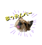 viviとLilly（個別スタンプ：15）