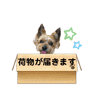 viviとLilly（個別スタンプ：16）