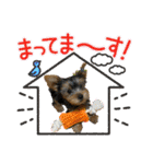 viviとLilly（個別スタンプ：17）