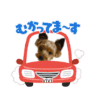 viviとLilly（個別スタンプ：19）