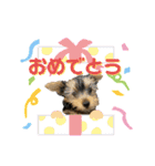 viviとLilly（個別スタンプ：24）