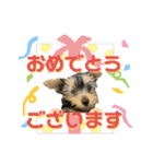 viviとLilly（個別スタンプ：25）