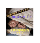 橋本家ニャンズ（個別スタンプ：16）