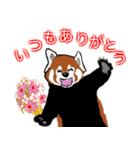 レッサーパンダ 大好き！（個別スタンプ：23）