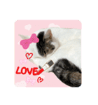 メイちゃんとずっと一緒スタンプ♡（個別スタンプ：1）