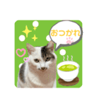 メイちゃんとずっと一緒スタンプ♡（個別スタンプ：6）