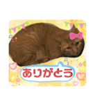 メイちゃんとずっと一緒スタンプ♡（個別スタンプ：7）
