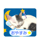 メイちゃんとずっと一緒スタンプ♡（個別スタンプ：8）