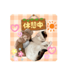 メイちゃんとずっと一緒スタンプ♡（個別スタンプ：9）