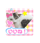 メイちゃんとずっと一緒スタンプ♡（個別スタンプ：10）