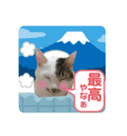 メイちゃんとずっと一緒スタンプ♡（個別スタンプ：11）