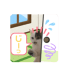 メイちゃんとずっと一緒スタンプ♡（個別スタンプ：12）