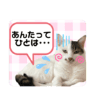 メイちゃんとずっと一緒スタンプ♡（個別スタンプ：14）